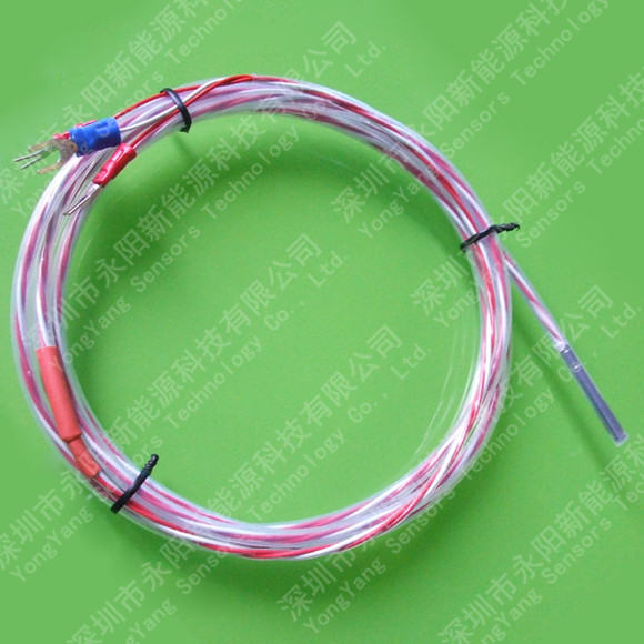 鐵氟龍套管PT100溫度傳感器